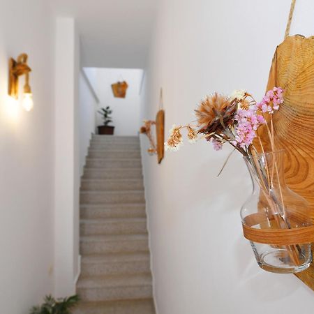City Nest Shkoder Exterior photo